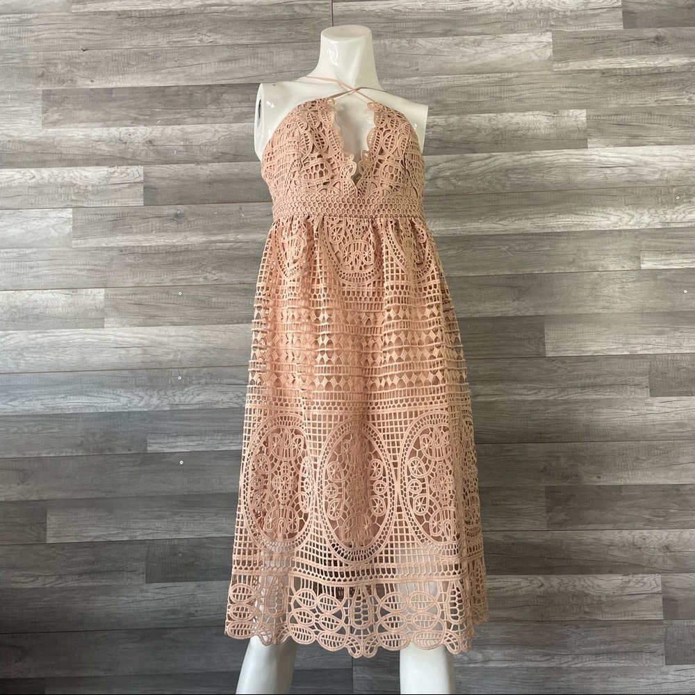 Bardot Beige Lace Dress Size Large 10 Womens Formal Evening Wear Summer V Neck